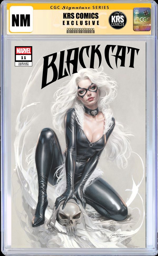Black Cat #11 - image 10