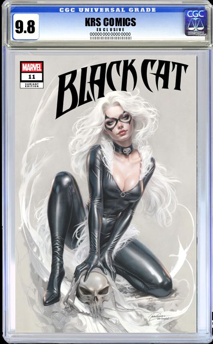Black Cat #11 - image 5