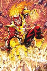 The Fury of Firestorm #3 - image 2