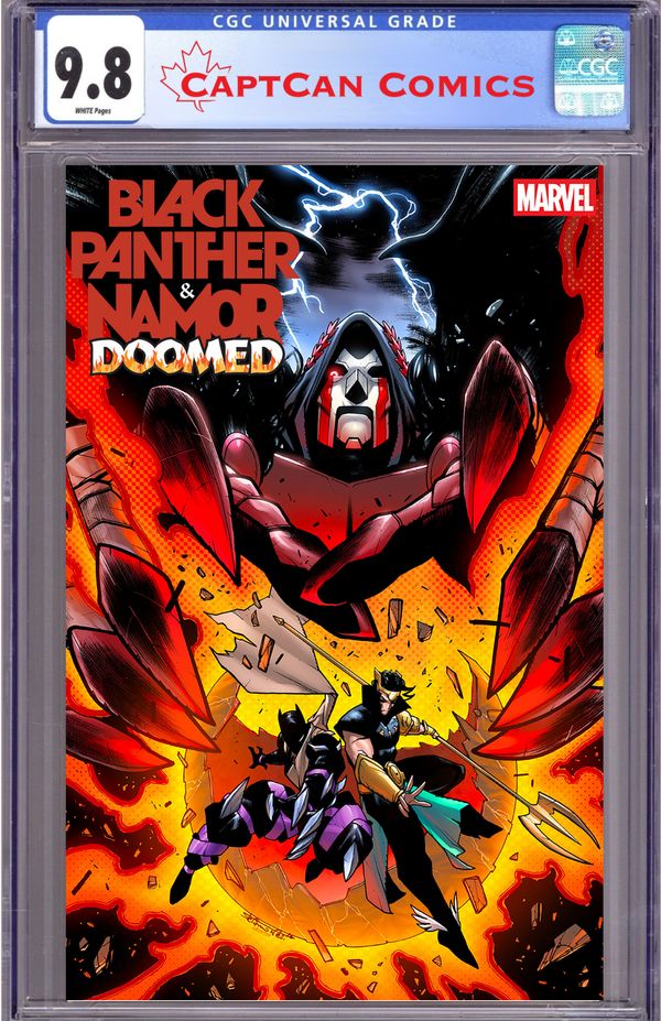 Black Panther / Namor: Doomed - image 3