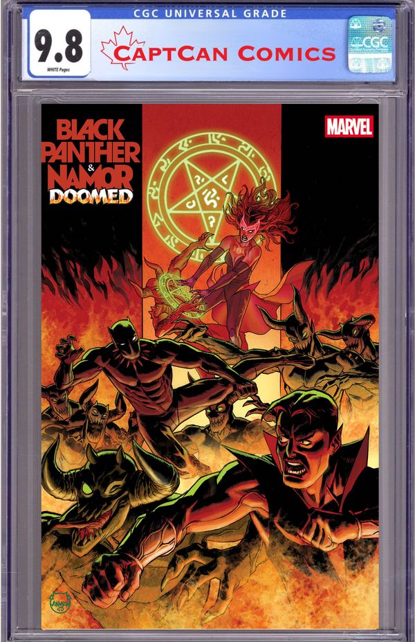 Black Panther / Namor: Doomed - image 2