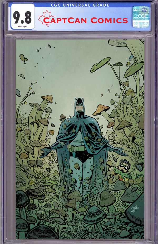 Batman & Robin: Year One – Dynamic Duos - image 2