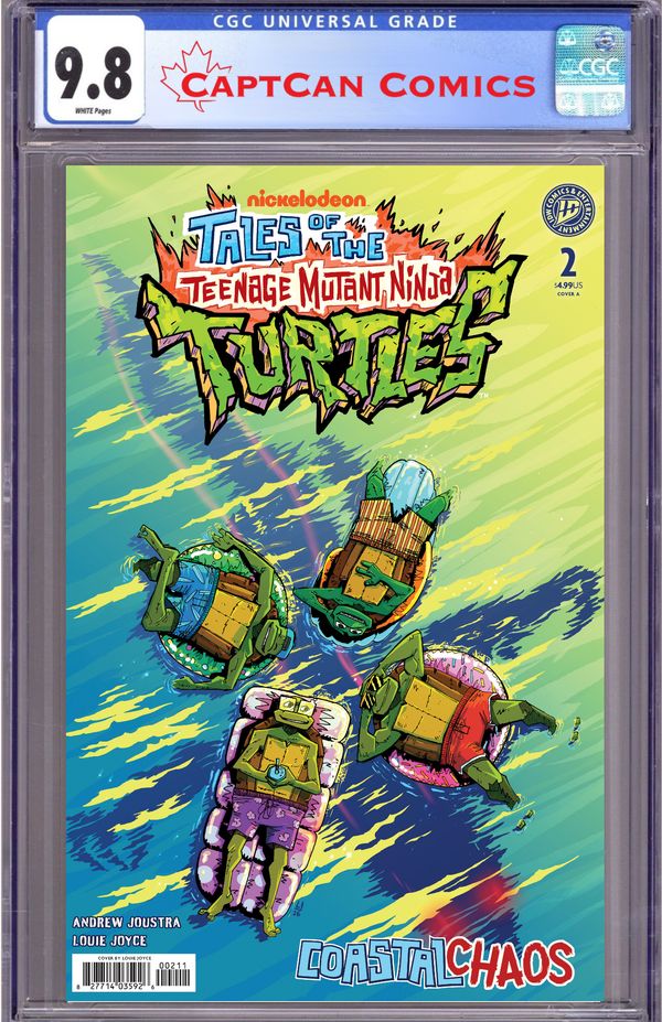 Tales of the Teenage Mutant Ninja Turtles: Coastal Chaos - image 3