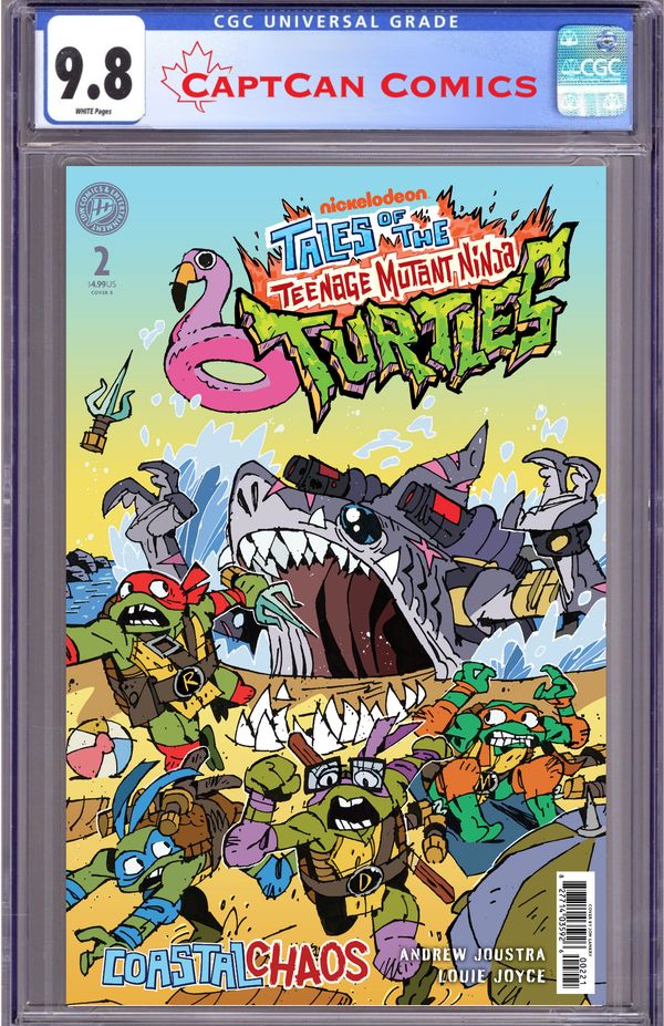 Tales of the Teenage Mutant Ninja Turtles: Coastal Chaos - image 2