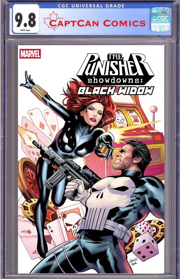 Punisher Showdowns: Black Widow - image 3