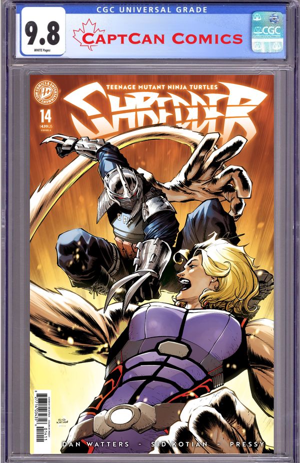 Teenage Mutant Ninja Turtles: Shredder - image 4