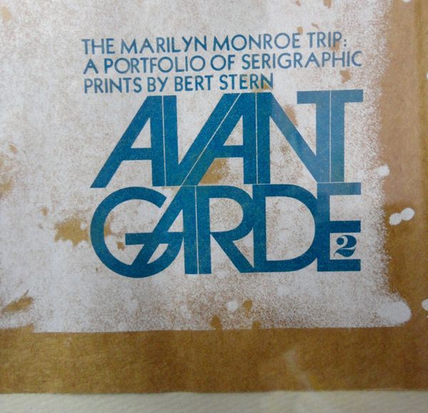 Savant Garde #2 - image 5