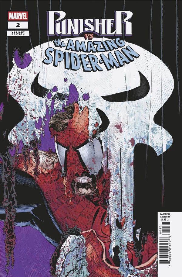 Punisher vs. Spider-Man #2 - image 3