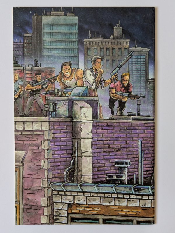 Raphael, Teenage Mutant Ninja Turtle #1 - image 2