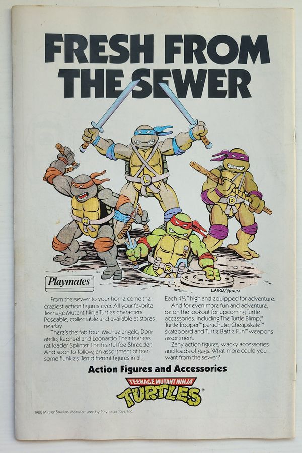 Teenage Mutant Ninja Turtles Adventures #1 - image 2