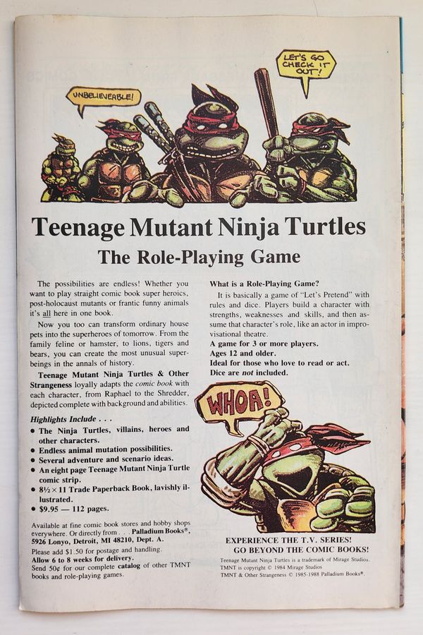 Teenage Mutant Ninja Turtles Adventures #3 - image 2