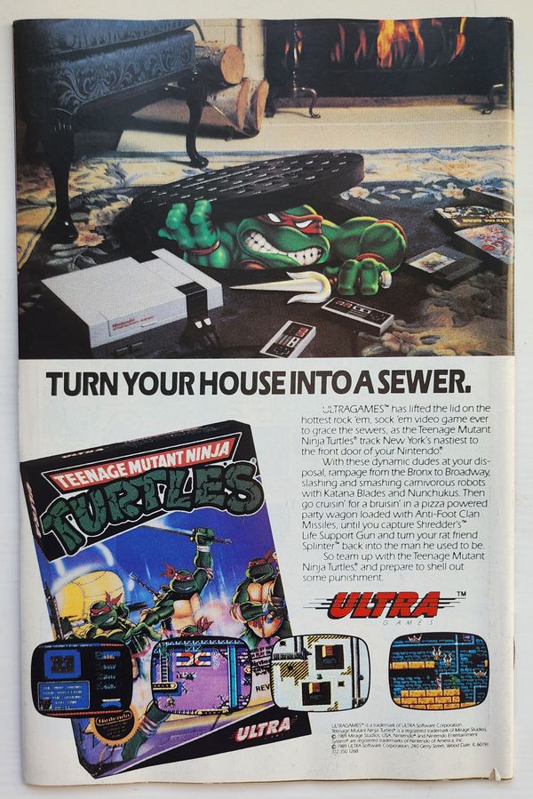 Teenage Mutant Ninja Turtles Adventures #4 - image 2