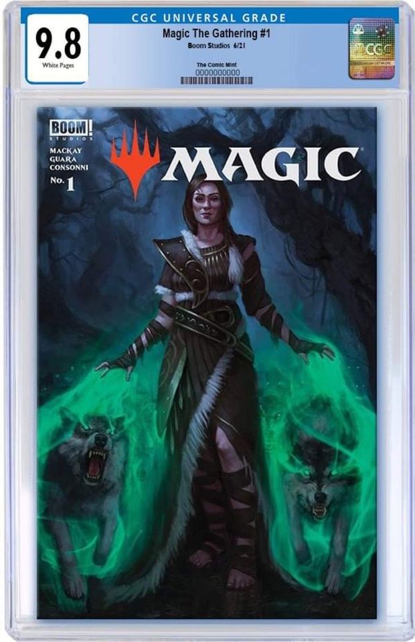 Magic: The Gathering #1 - image 12