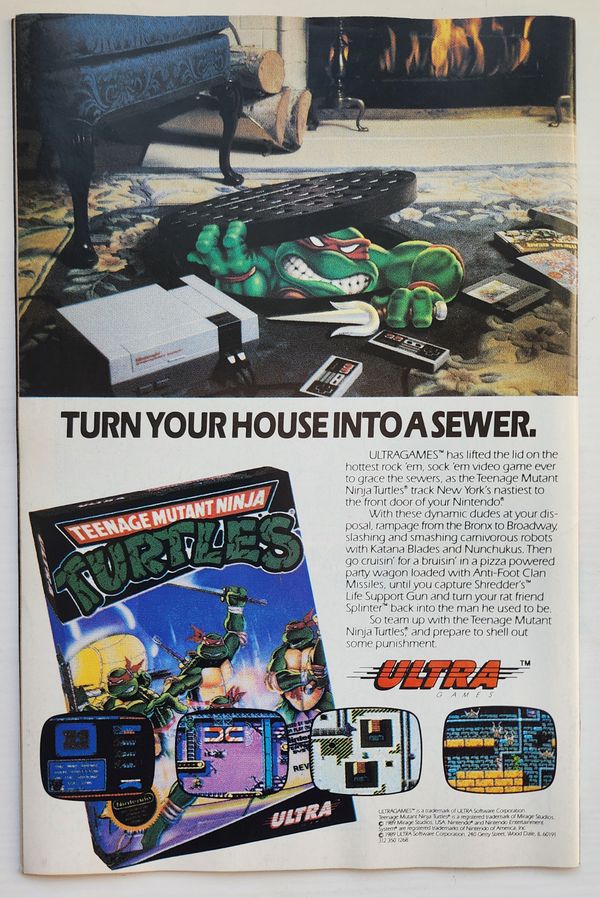Teenage Mutant Ninja Turtles Adventures #5 - image 2