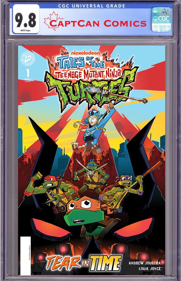Tales of the Teenage Mutant Ninja Turtles: Tear in Time - image 3