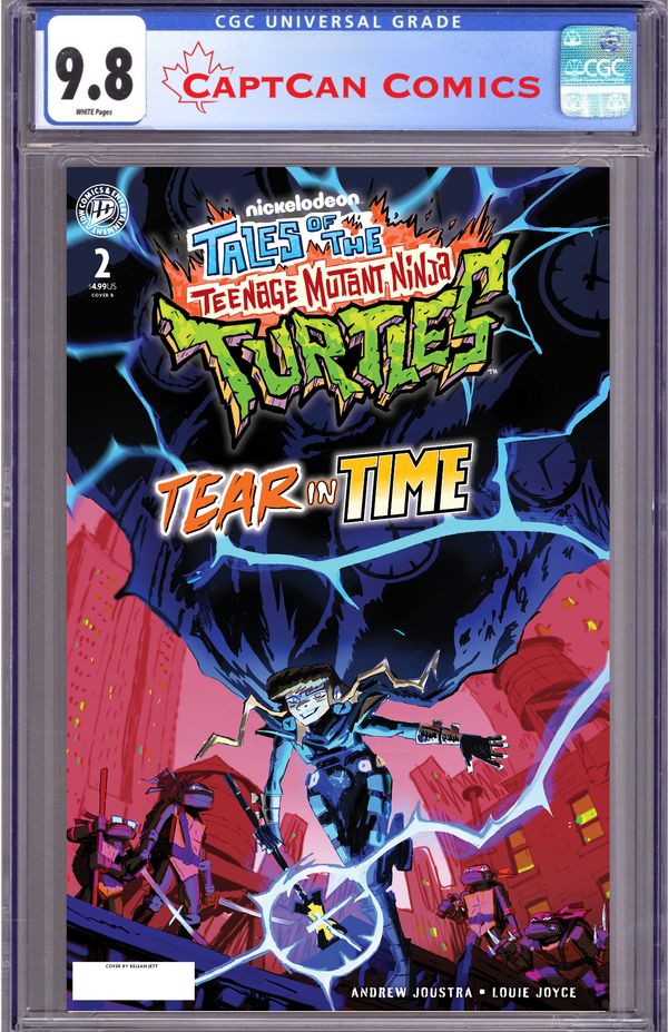 Tales of the Teenage Mutant Ninja Turtles: Tear in Time - image 2