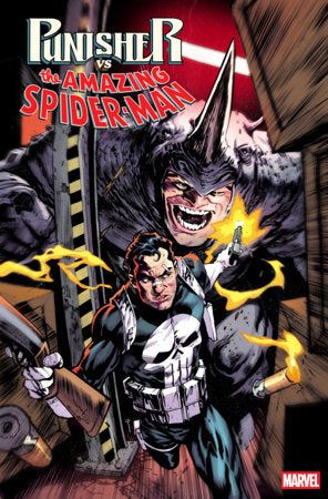 Punisher vs. Spider-Man #3 - image 5