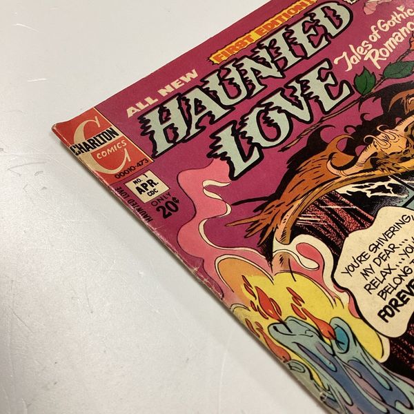 Haunted Love #1 - image 5