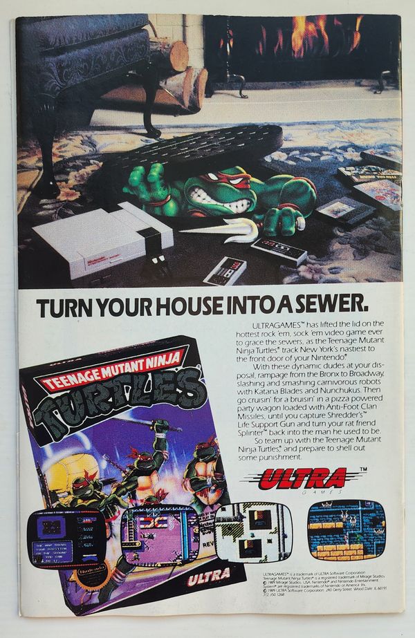 Teenage Mutant Ninja Turtles Adventures #10 - image 3