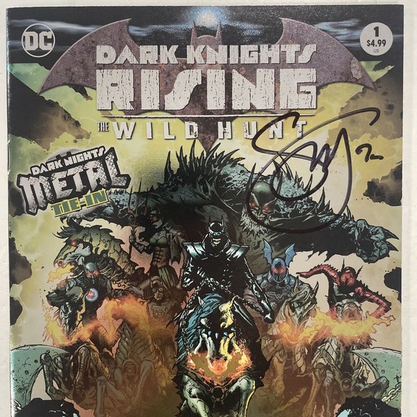 Dark Knights Rising: The Wild Hunt #1 - image 2