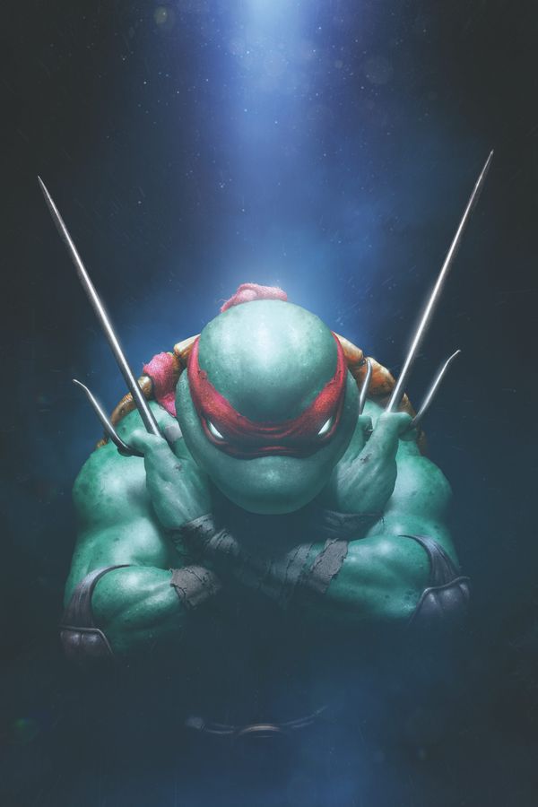 Teenage Mutant Ninja Turtles 20/20 #1 - image 5