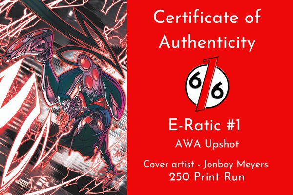 E-Ratic #1 - image 4