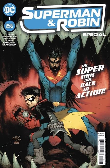 Superman & Robin Special #1 - image 2