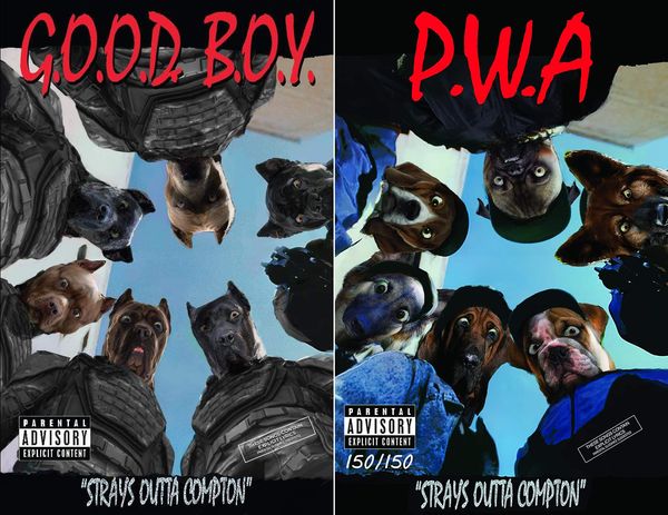 Good Boy #1 - image 21
