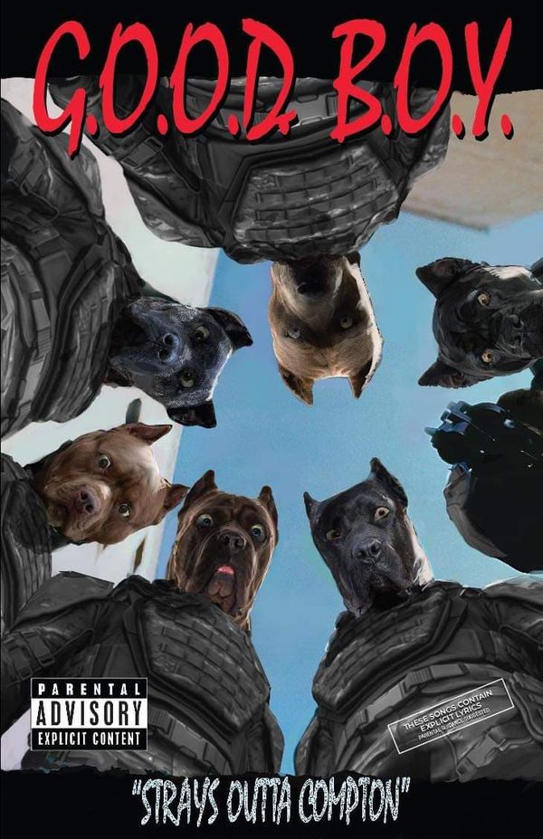Good Boy #1 - image 4