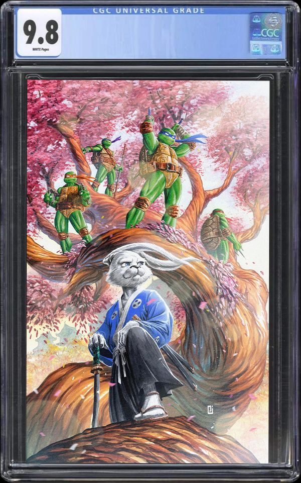 Teenage Mutant Ninja Turtles / Usagi Yojimbo: Wherewhen #2 - image 5