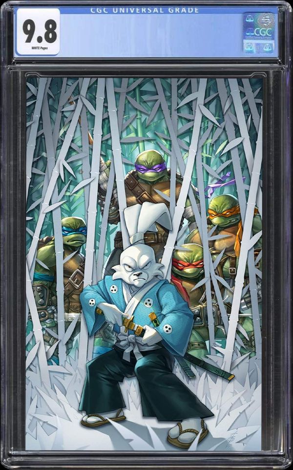 Teenage Mutant Ninja Turtles / Usagi Yojimbo: Wherewhen #4 - image 2