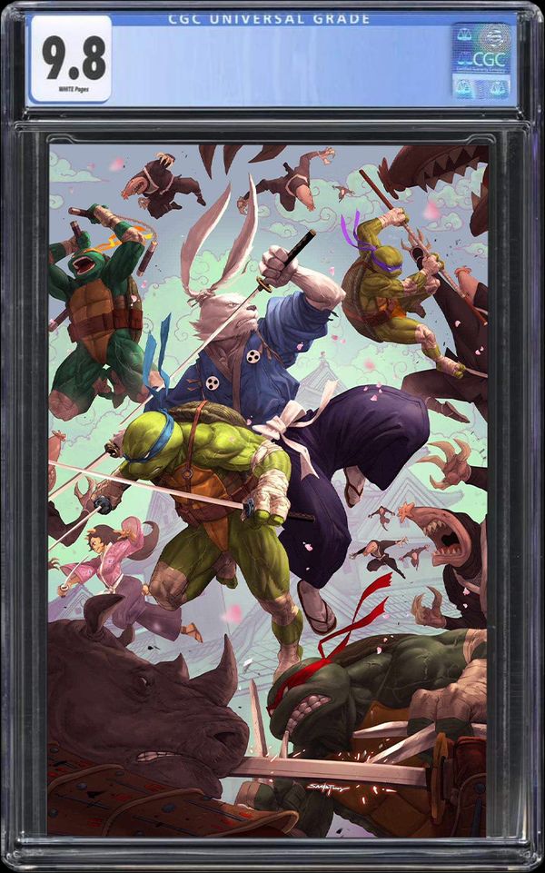 Teenage Mutant Ninja Turtles / Usagi Yojimbo: Wherewhen #5 - image 2