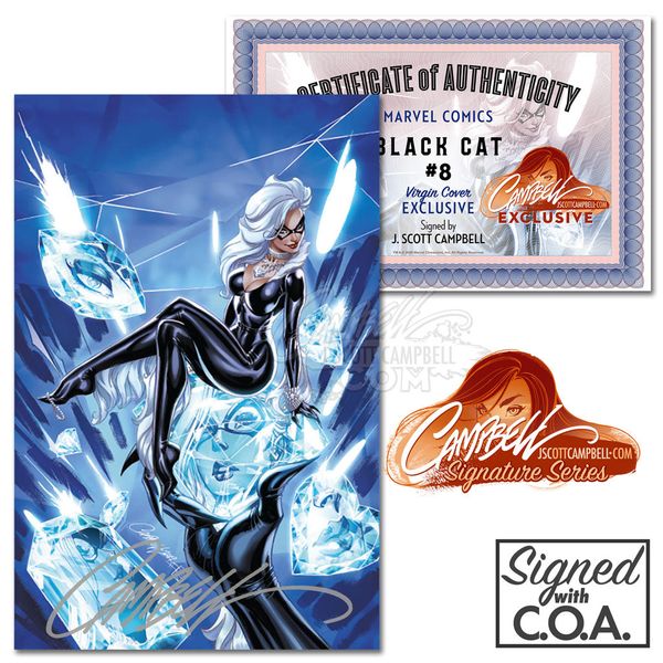 Black Cat #8 - image 5