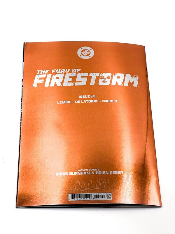 The Fury of Firestorm #1 - image 5