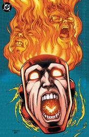 The Fury of Firestorm #1 - image 11